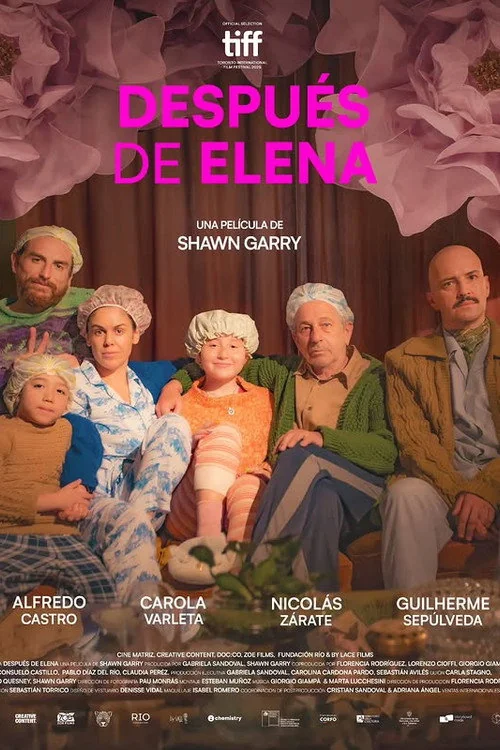 Plakat: After Elena