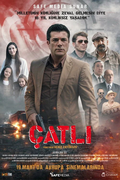 Plakat: Catli
