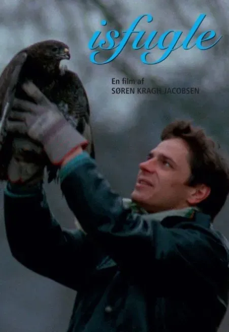 Plakat: Isfugle