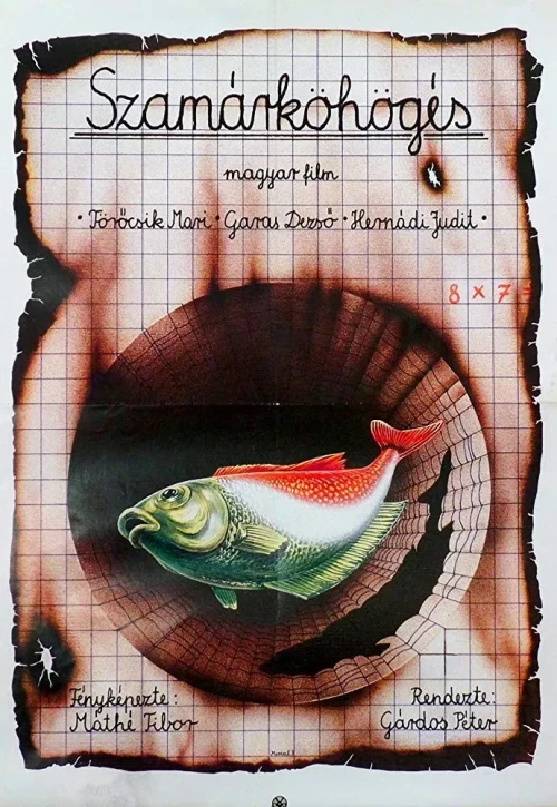 Plakat: Koklusz