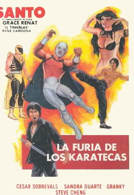Plakat: La furia de los karatecas