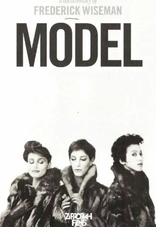 Plakat: Model