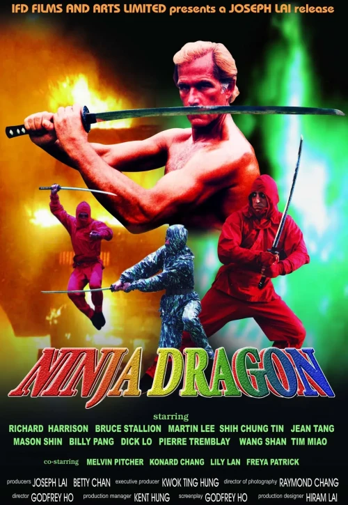 Plakat: Ninja Dragon