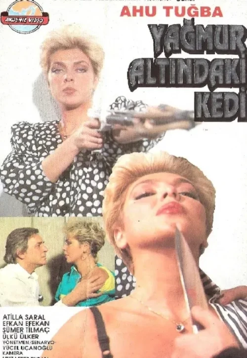 Plakat: Yağmur Altında Bir Kedi