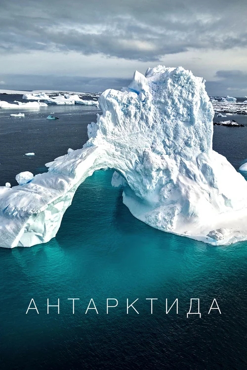 Plakat: Antarctica