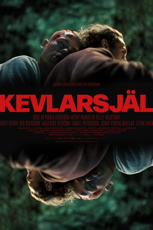 Plakat: Kevlar Soul