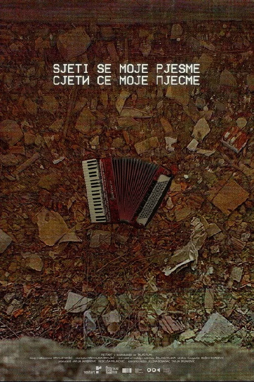 Plakat: Remember My Song
