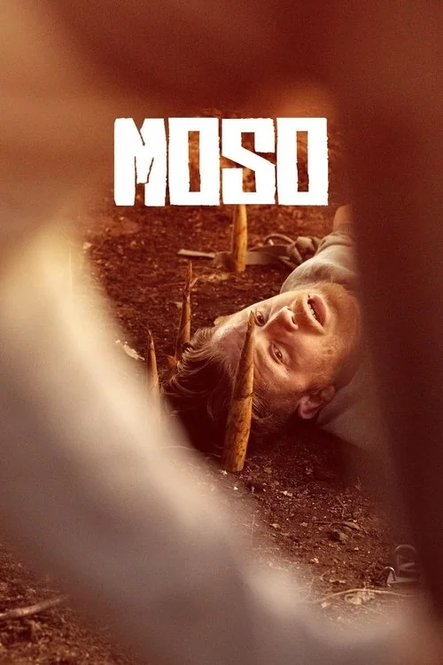 Plakat: Siostrzana zemsta
