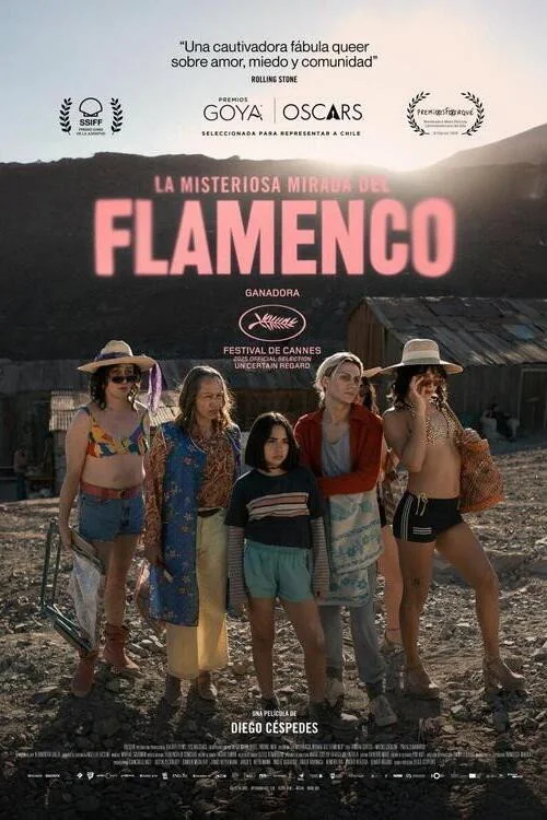 Plakat: Tajemnicze spojrzenie flaminga