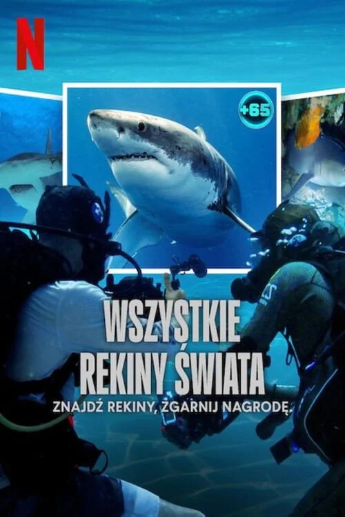 Plakat: Wszystkie rekiny świata