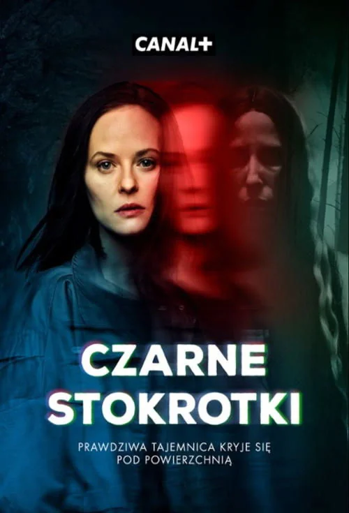 Plakat: Czarne stokrotki