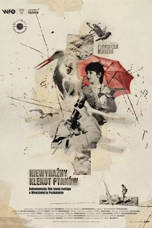 Plakat: Niewyrazny klekot ptakow