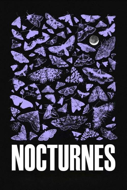Plakat: Nokturny
