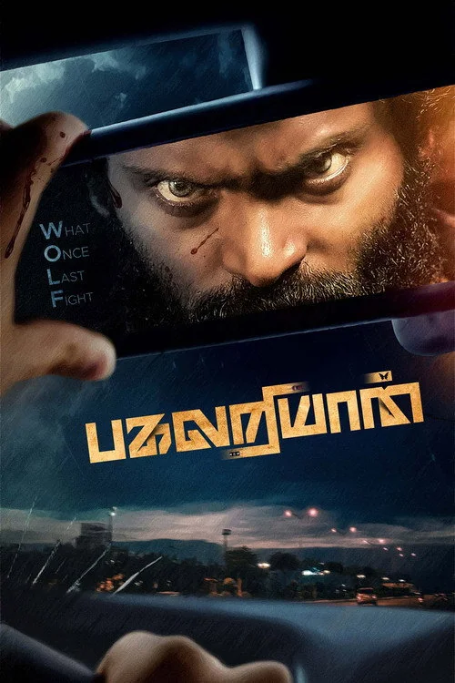 Plakat: Pagalariyaan