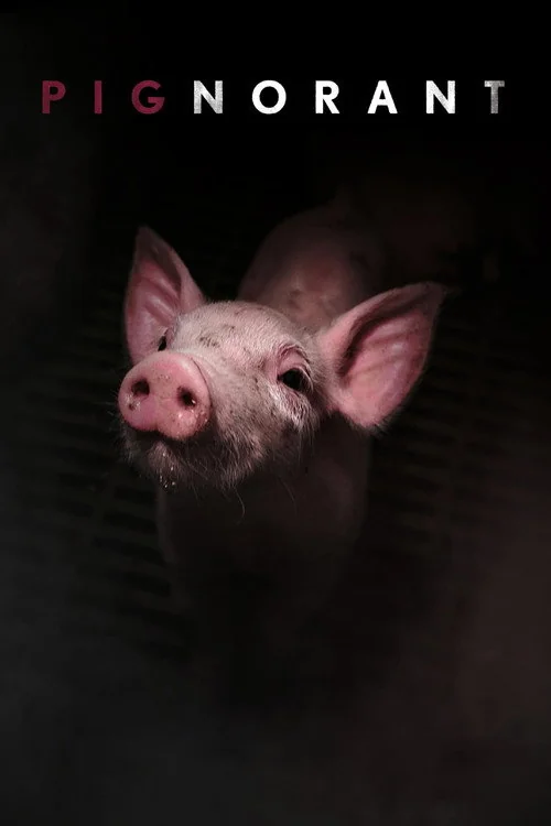 Plakat: Pignorant