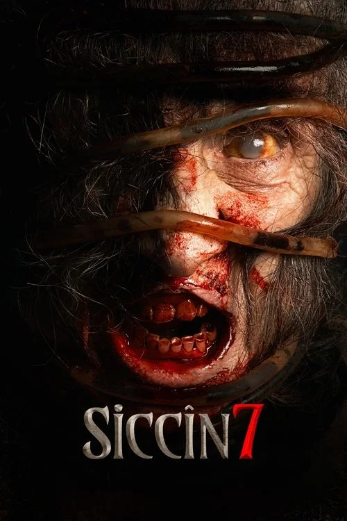 Plakat: Siccin 7