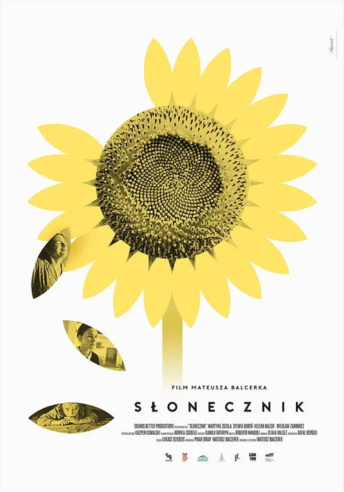 Plakat: Słonecznik