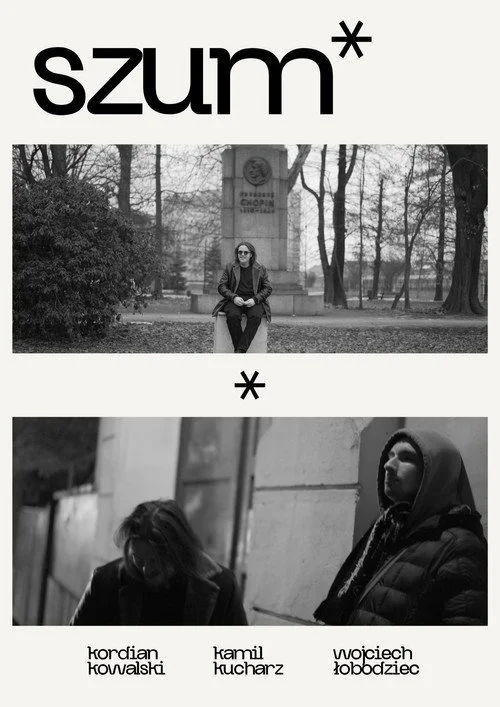 Plakat: szum
