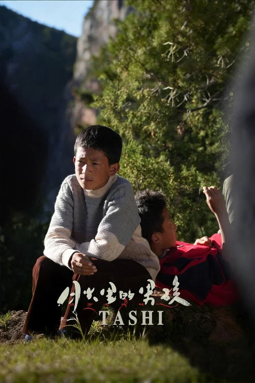 Plakat: Tashi