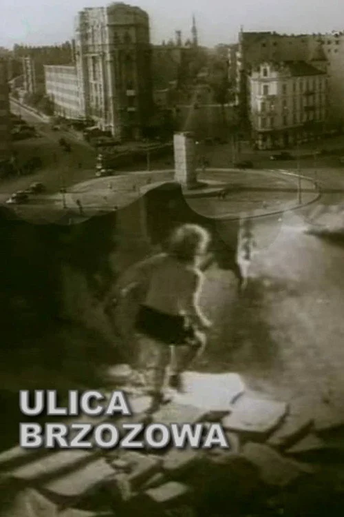 Plakat: Ulica Brzozowa