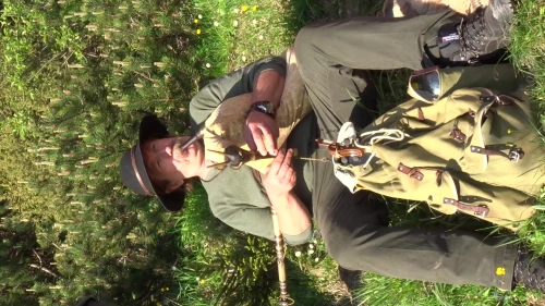 Piotr Majerczyk