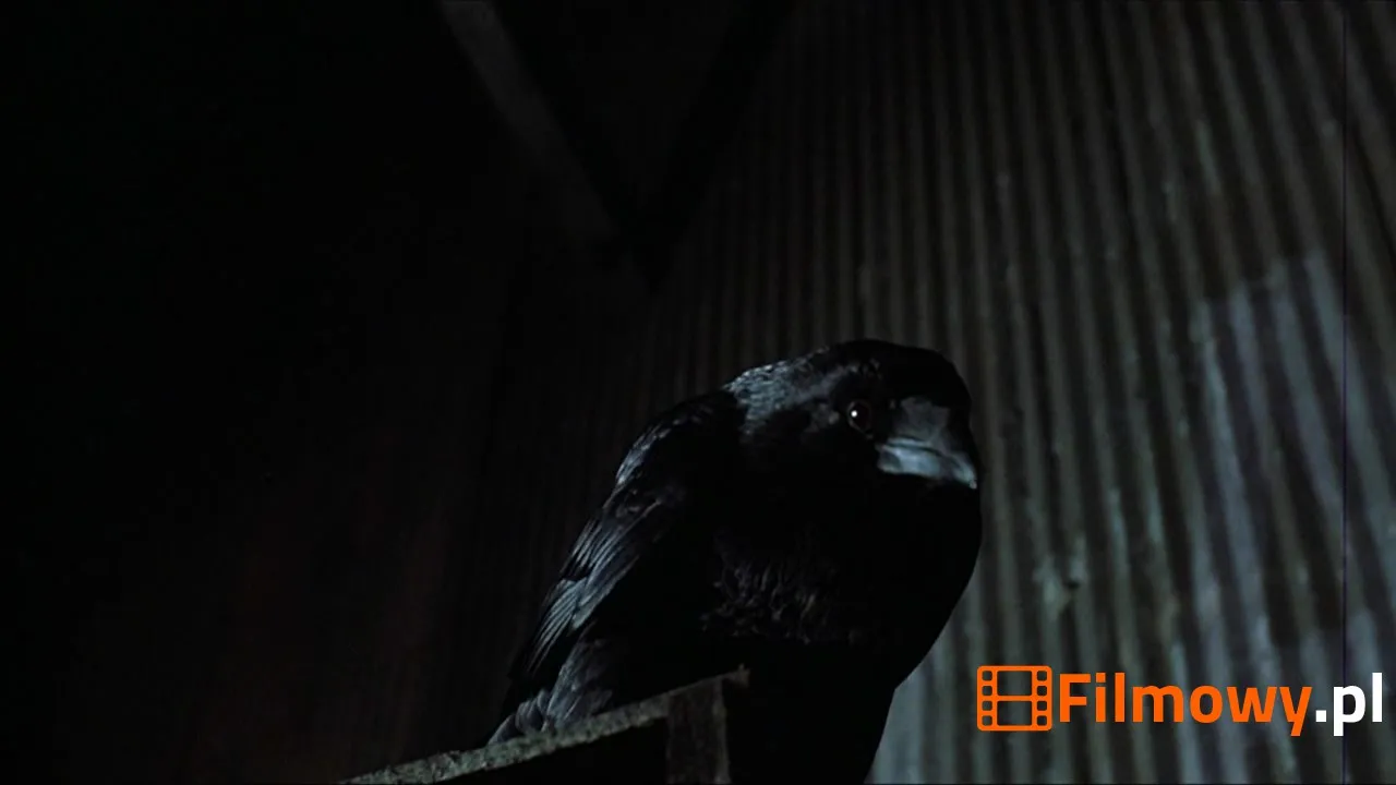 Kadr z filmu The Crow (Kruk) - zdjęcie 22 z 29