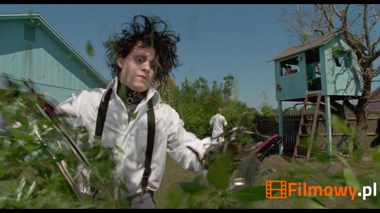 Kadr z filmu Edward Scissorhands (Edward Nożycoręki) - zdjęcie 41 z 61