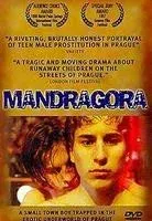Plakat: Mandragora