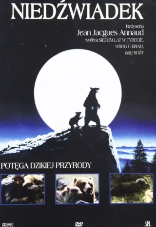 Plakat: Niedźwiadek