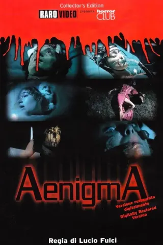 Plakat: Ænigma