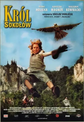Plakat: Król sokołów