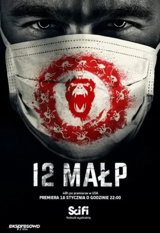 Plakat: 12 małp