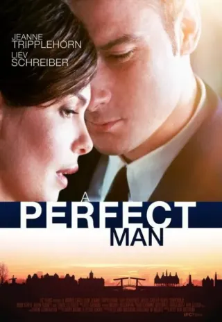 Plakat: A Perfect Man