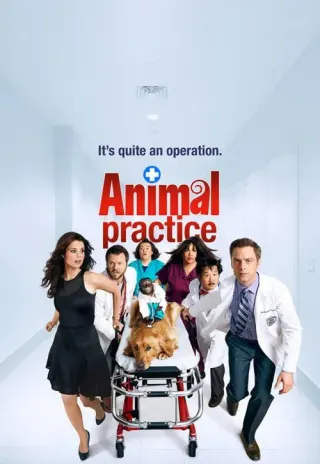 Plakat: Animal Practice