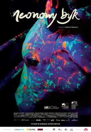 Plakat: Boi neon