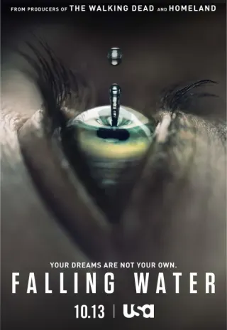 Plakat: Falling Water