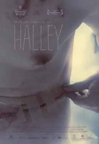 Plakat: Halley