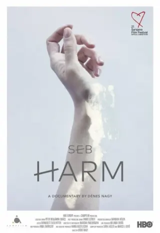 Plakat: Harm