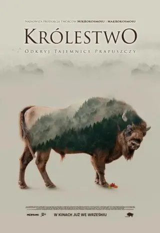 Plakat: Królestwo