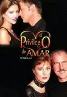 Plakat: El privilegio de amar
