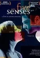 Plakat: The Five Senses