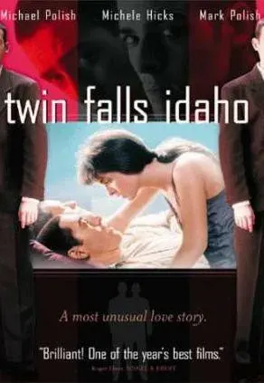 Plakat: Twin Falls Idaho