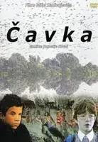 Plakat: Čavka
