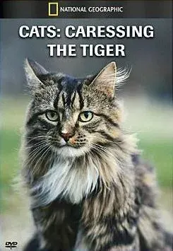 Plakat: Cats: Caressing the Tiger