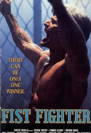 Plakat: Fist Fighter
