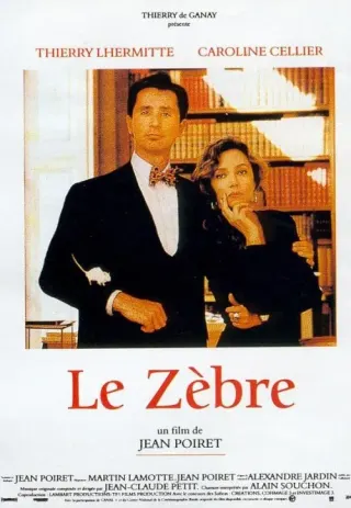 Plakat: Zebra