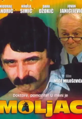 Plakat: Moljac