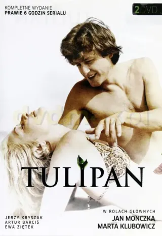 Plakat: Tulipan