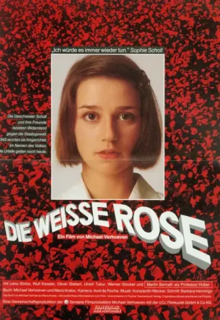Plakat: Biała róża