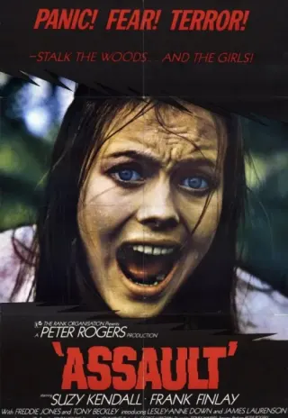 Plakat: Assault